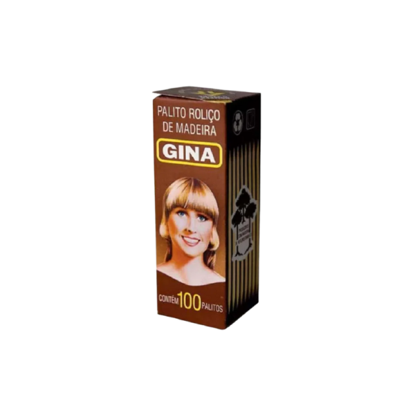 PALITO DENTE GINA 100 PALITOS